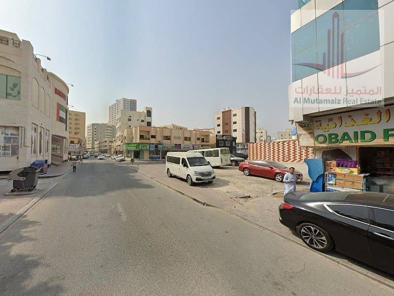 4 نخيل4. jpg