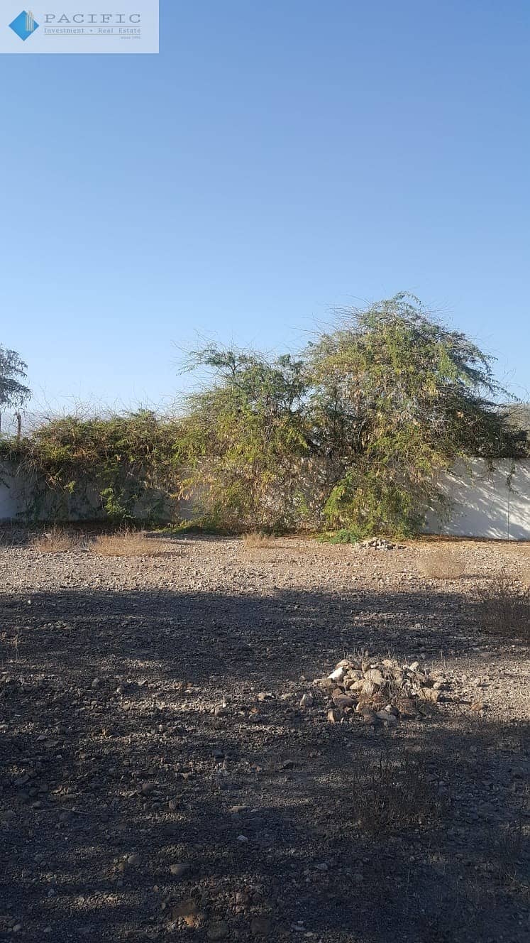 Land for Sale by the Sea. Fujairah Dibba