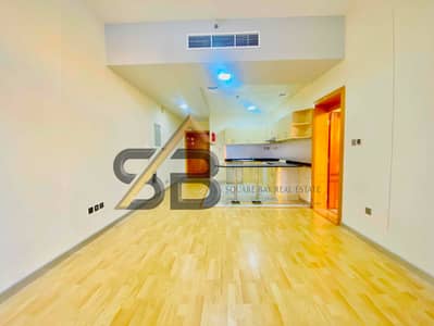 Spacious 1bhk Apartment/Big Balcony/In All Amenties