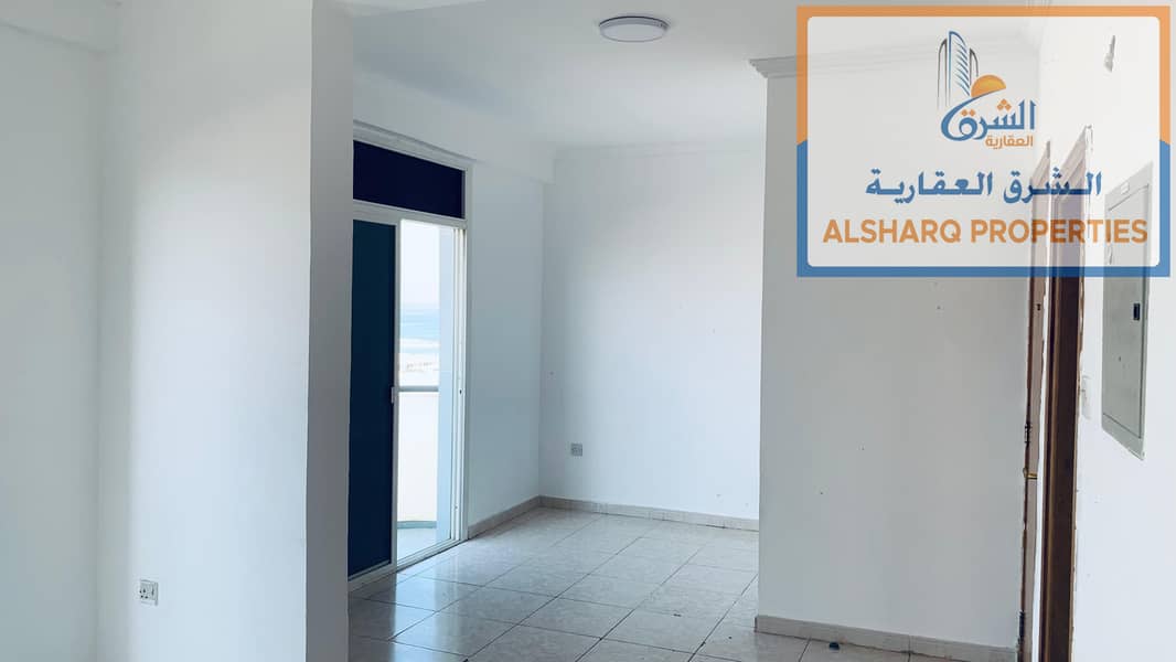 3 صورة واتساب بتاريخ 2024-11-22 في 16.57. 46_e72d11b8. jpg