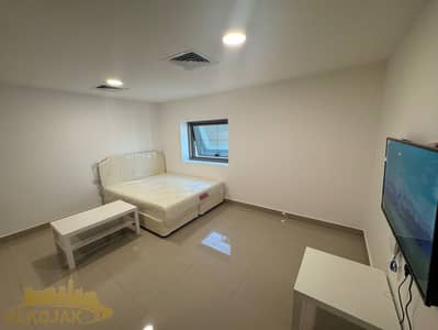 Studio for Rent in Al Danah, Abu Dhabi - WhatsApp Image 2024-11-27 at 10.49. 34_37691316. jpg