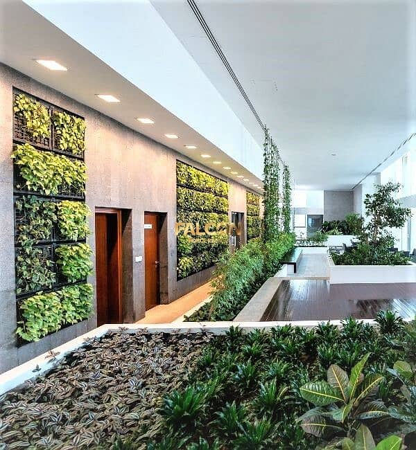 17 _CED6456 [photoutils. com]. jpg