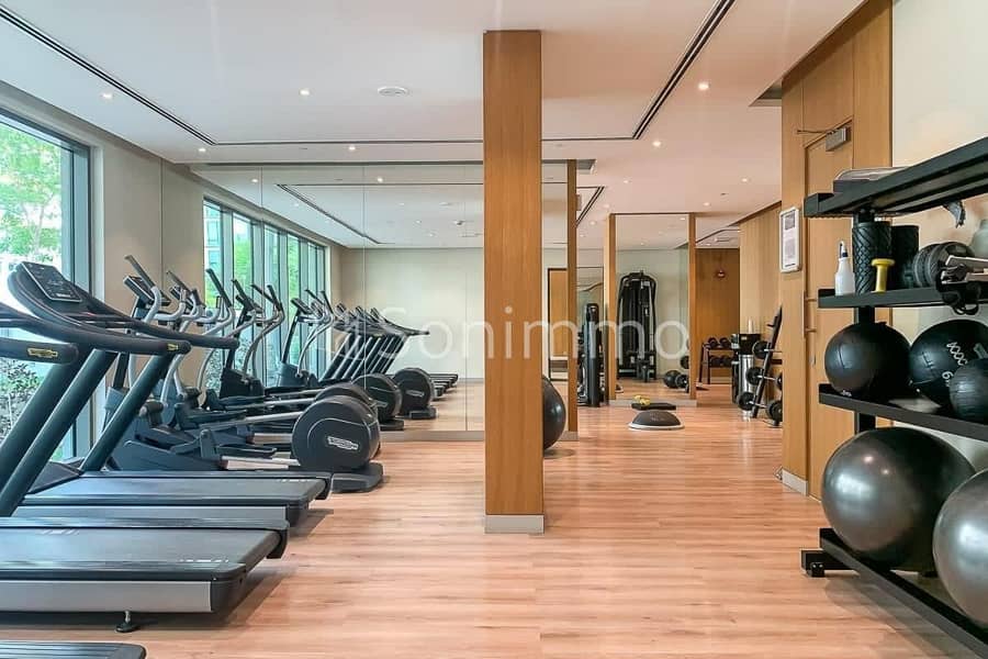 15 gym. jpeg