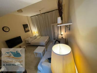 Studio for Rent in Al Hamidiyah, Ajman - WhatsApp Image 2024-12-09 at 6.41. 05 AM (2). jpeg