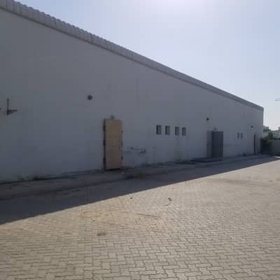 Warehouse for Rent in Ajman Industrial, Ajman - Warehouse 5000 Sq Ft I New industrial area I 3 Phase