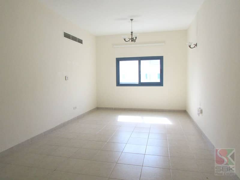 4 Picture 262. jpg