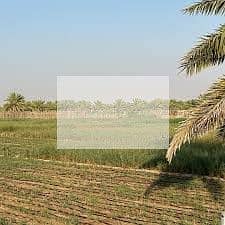 9 IMG-20241214-WA0037. jpg