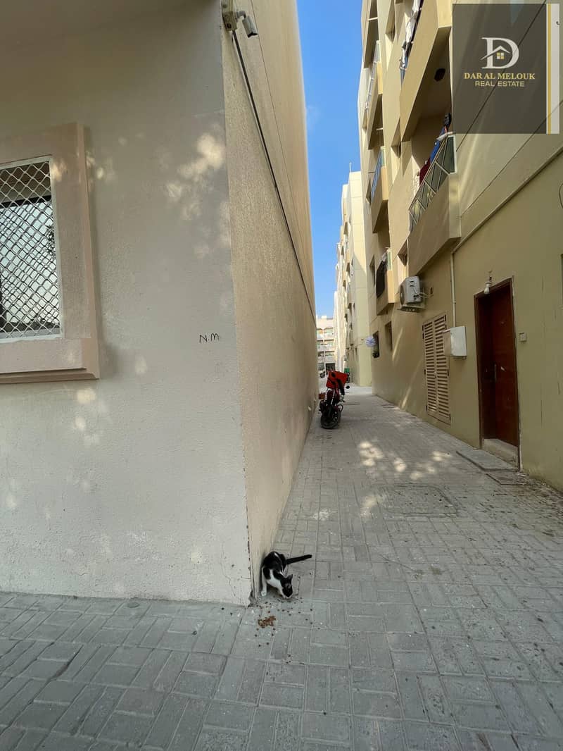 4 WhatsApp Image 2024-12-14 at 11.32. 36 PM (3). jpeg