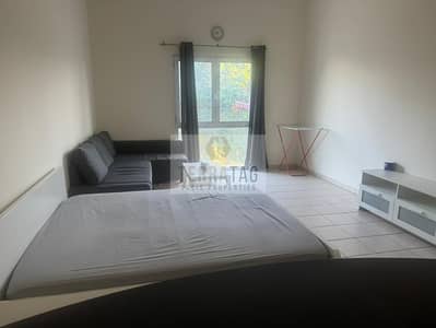 Monolocale in Affitto a Discovery Gardens, Dubai - WhatsApp Image 2024-12-16 at 10.14. 32 AM. jpeg Monolocale in Affitto a Discovery Gardens, Dubai - WhatsApp Image 2024-12-16 at 10.14. 32 AM. jpeg