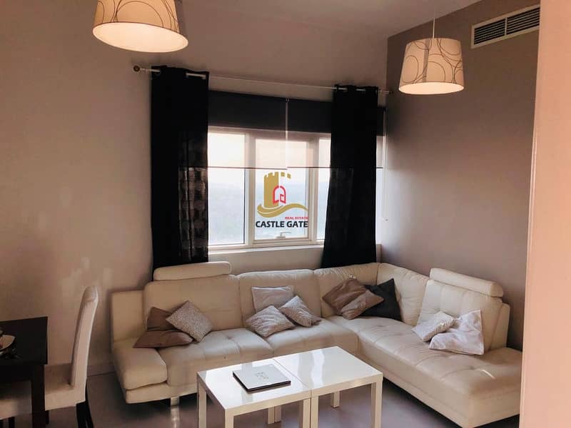Amazing Fully Furnished 1 Bedroom For Rent 