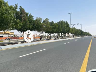 阿尔肖梅克， 阿布扎比 住宅地块待售 - IMG-20240819-WA0198. jpg