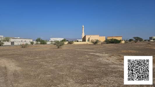 Plot for Sale in Al Manama, Ajman - 1 (6). jpeg