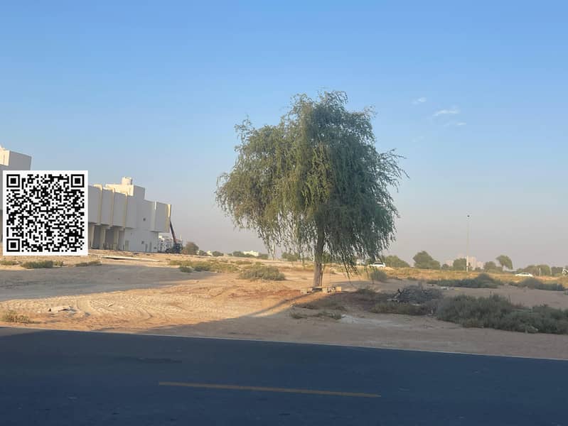 2 WhatsApp Image 2024-10-11 at 19.57. 23 (1). jpeg