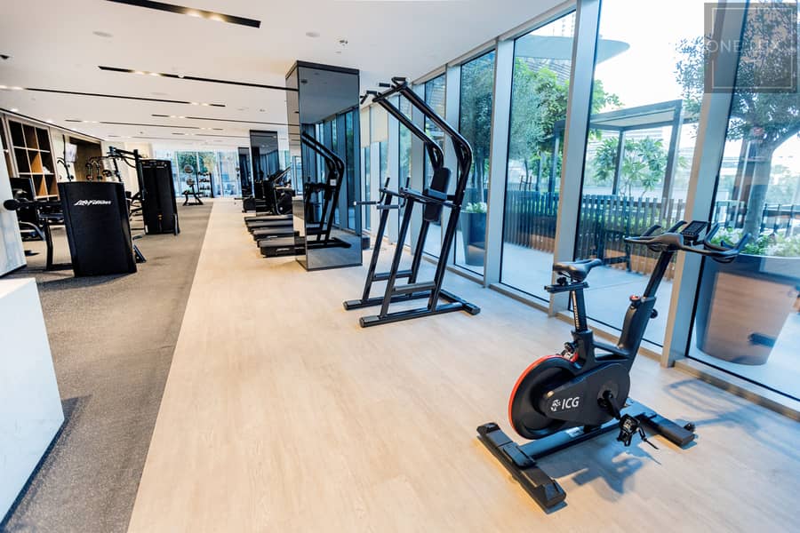 41 6 gym (1). jpg
