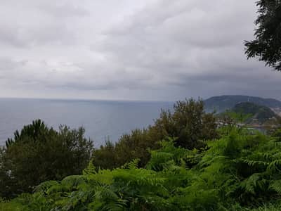 view1 view1