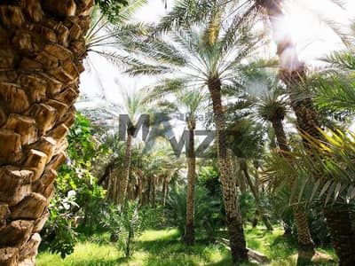 Plot for Sale in Al Rahbah, Abu Dhabi - Perfect location| Spacious Farm| Area 500*600