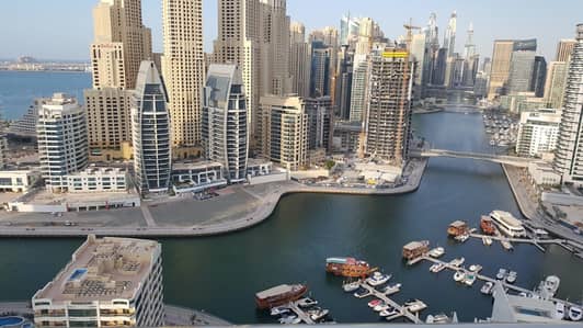 شقة في برج دي إي سي دبي مارينا 2 غرف 87999 درهم - 4093037 شقة في برج دي إي سي دبي مارينا 2 غرف 87999 درهم - 4093037