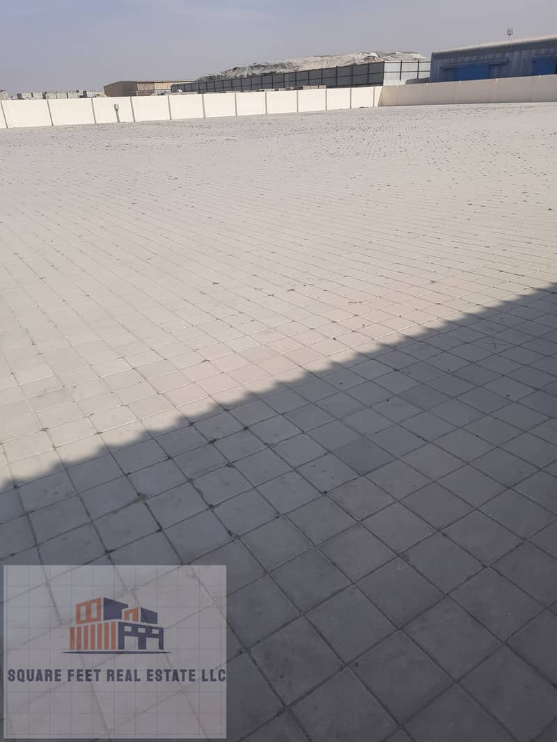 5 1735794864853. jpg