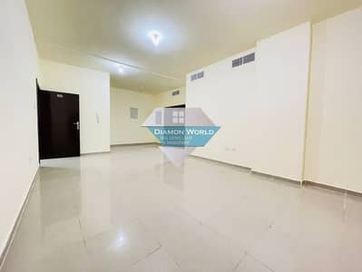 Very Spacious Three Bedroom Hall Apartment for Rent at Airport Road Abu Dhabi