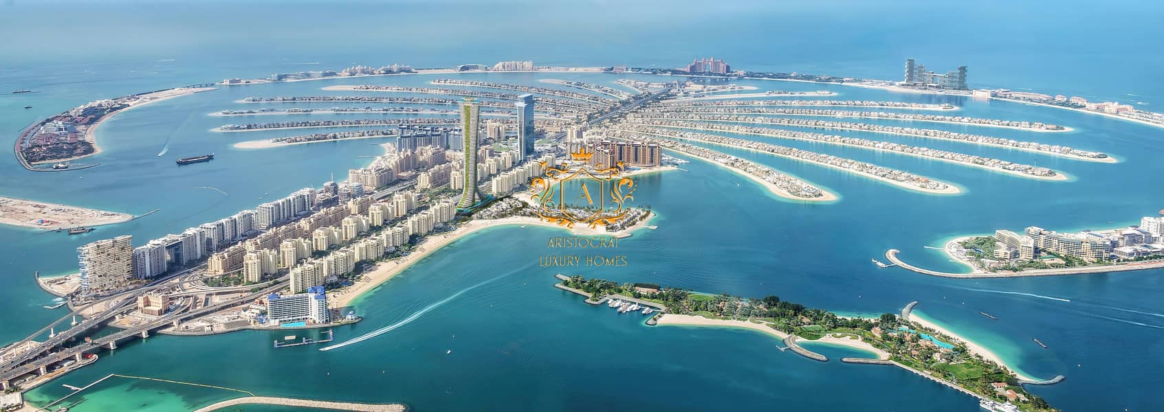 15 EXT20_Aerial Full Palm_v02_7k. jpg