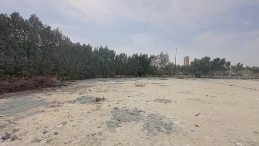 ارض صناعية  للايجار في جبل علي، دبي - WhatsApp Image 2024-12-30 at 13.35. 21 (1). jpeg