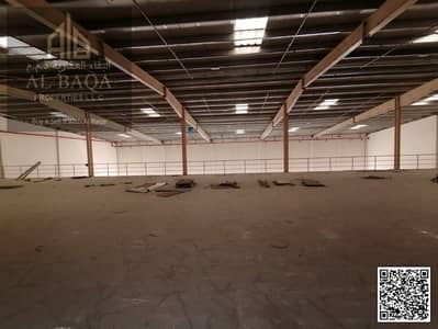Showroom for Rent in Al Jurf, Ajman - WhatsApp Image 2024-12-30 at 5.54. 41 PM. jpeg