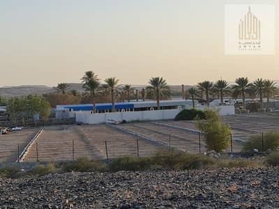 Other Commercial for Sale in Al Dhaid, Sharjah - IMG-20241017-WA0040. jpg