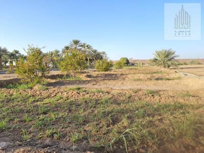 Plot for Sale in Al Dhaid, Sharjah - IMG-20241017-WA0053. jpg