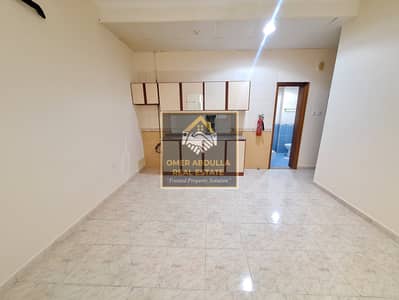 Limited offer lavish studio apartment only. .