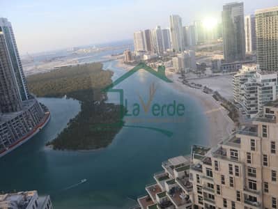 Floor for Sale in Al Reem Island, Abu Dhabi - WhatsApp Image 2024-12-24 at 5.49. 05 PM (2). jpeg