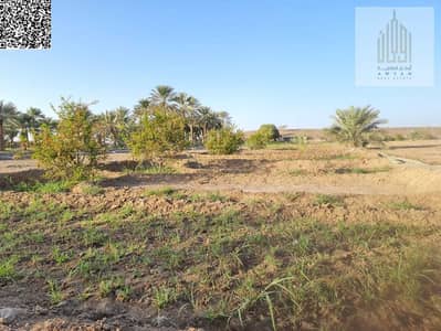 Mixed Use Land for Sale in Al Dhaid, Sharjah - IMG-20241217-WA0120. jpg