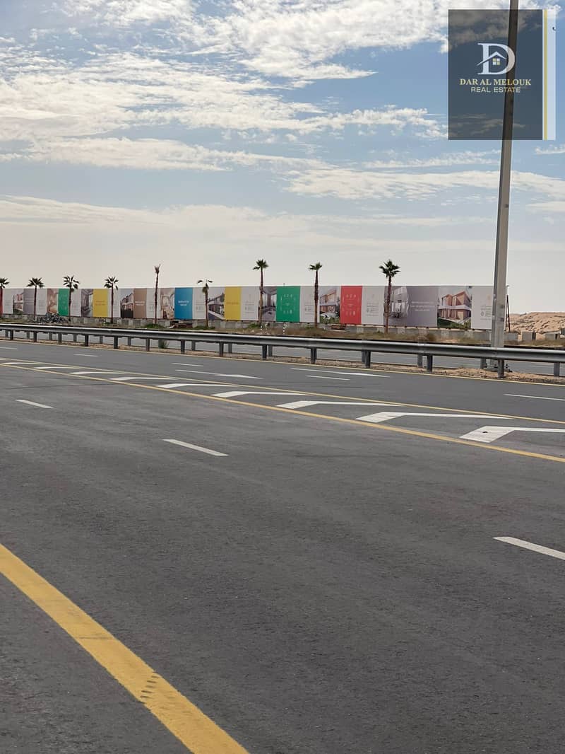 3 البليده 2. jpeg