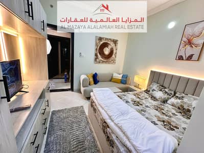 Studio for Rent in Bu Tina, Sharjah - WhatsApp Image 2025-01-11 at 9.18. 54 PM (1). jpeg