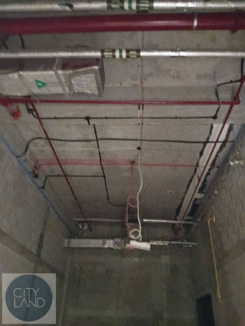 9 1000001912. jpg