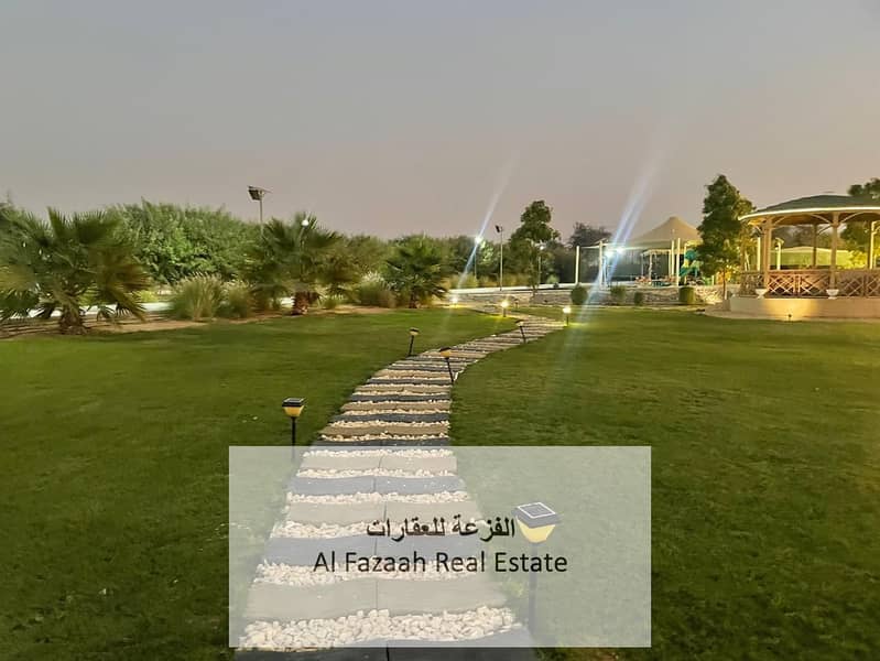 6 صورة واتساب بتاريخ 1446-07-14 في 21.09. 30_b7246aaa. jpg