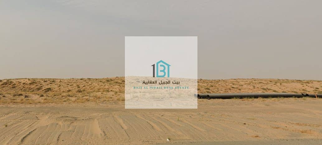 2 لقطة شاشة 2024-12-29 184142. png