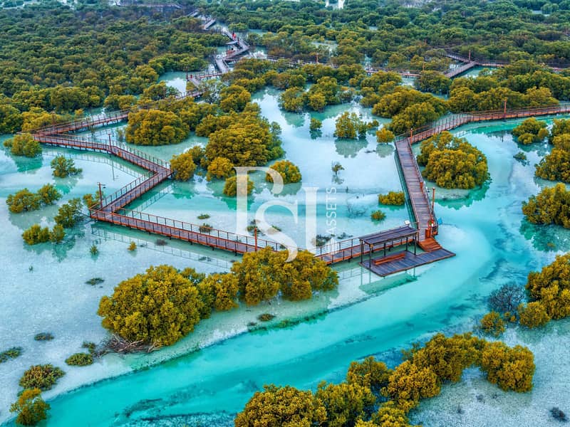 10 Jubail-Mangrove-Park-drone-. jpg