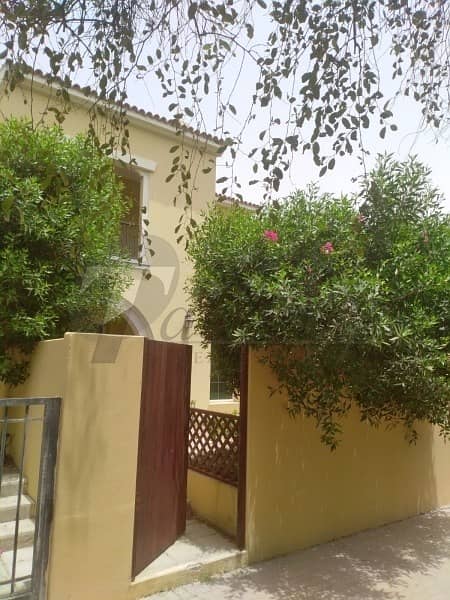 Superb largest Palmera type B single Row Superb largest Palmera type B single Row