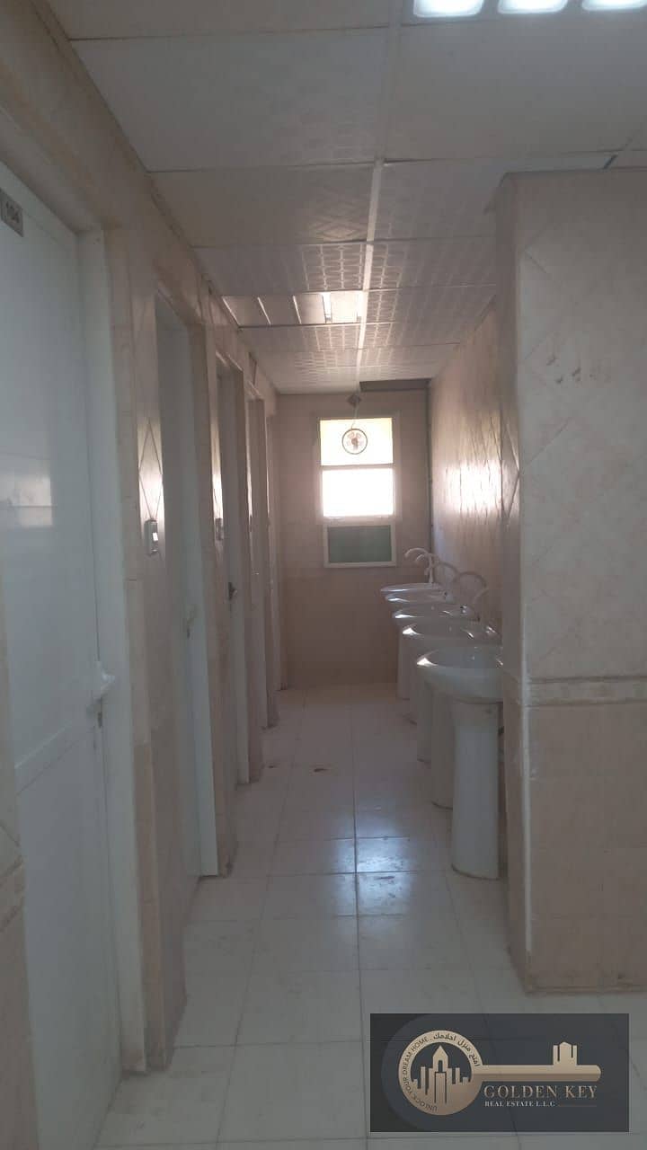3 WhatsApp Image 2025-01-16 at 15.39. 24. jpeg