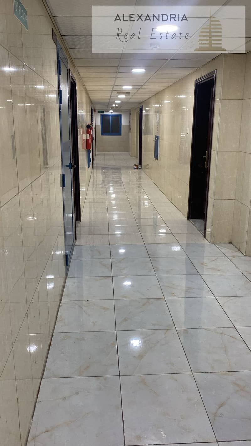 17 صورة واتساب بتاريخ 1446-04-30 في 17.44. 34_5a80699c. jpg