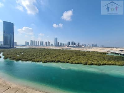阿尔雷姆岛， 阿布扎比 3 卧室顶楼公寓待售 - 20250109_113323. jpg