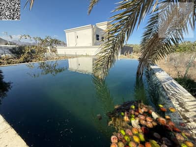 富查伊拉海岸， 富查伊拉 商业地块待售 - IMG-20250121-WA0091. jpg
