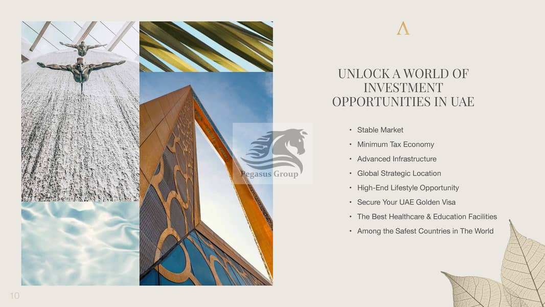 6 tinywow_AHE_BROCHURE_56593284_10. jpg