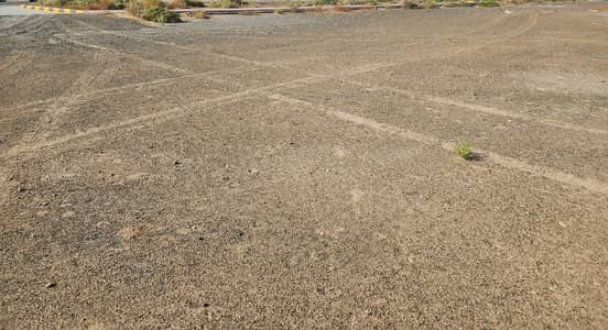 Industrial Land for Sale in Umm Al Thuoob, Umm Al Quwain - ارض خالية  5. jpg