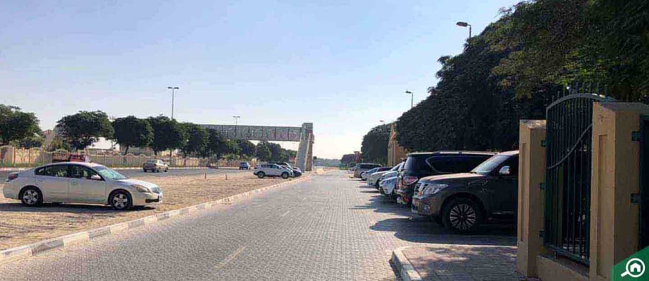 3 WhatsApp Image 2025-01-22 at 3.59. 05 AM. jpeg