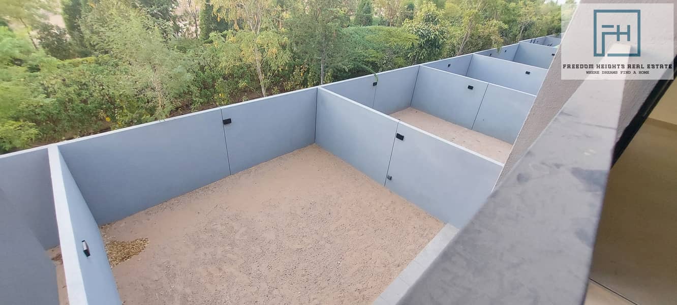 4 1000112299. jpg