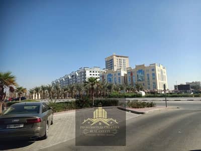 2 Bedroom Flat for Sale in Al Yasmeen, Ajman - WhatsApp Image 2024-11-16 at 20.22. 32_b1c1808d. jpg