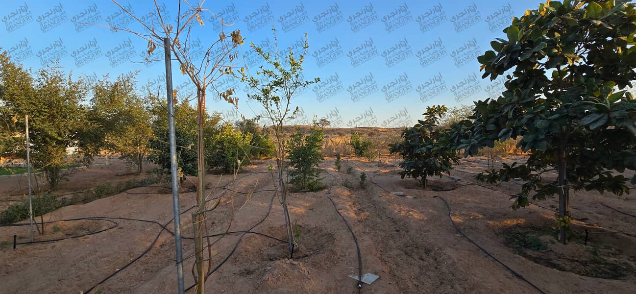 5 ORANGERY_FARM_03. png