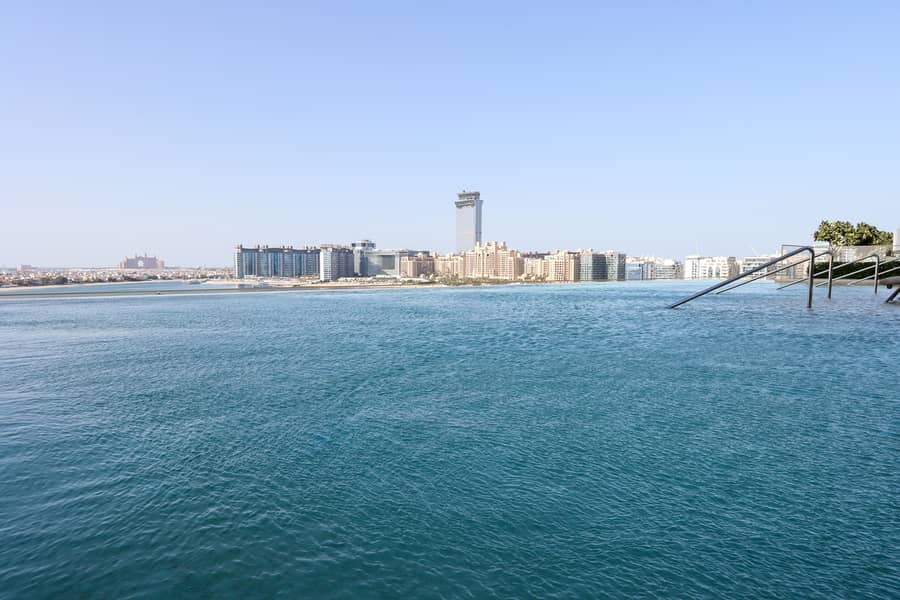 52 IMG_3620. jpg