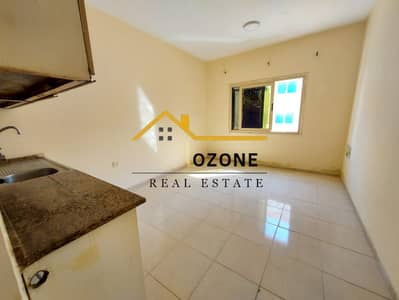 Studio for Rent in Muwaileh Commercial, Sharjah - IMG-20250109-WA0097. jpg